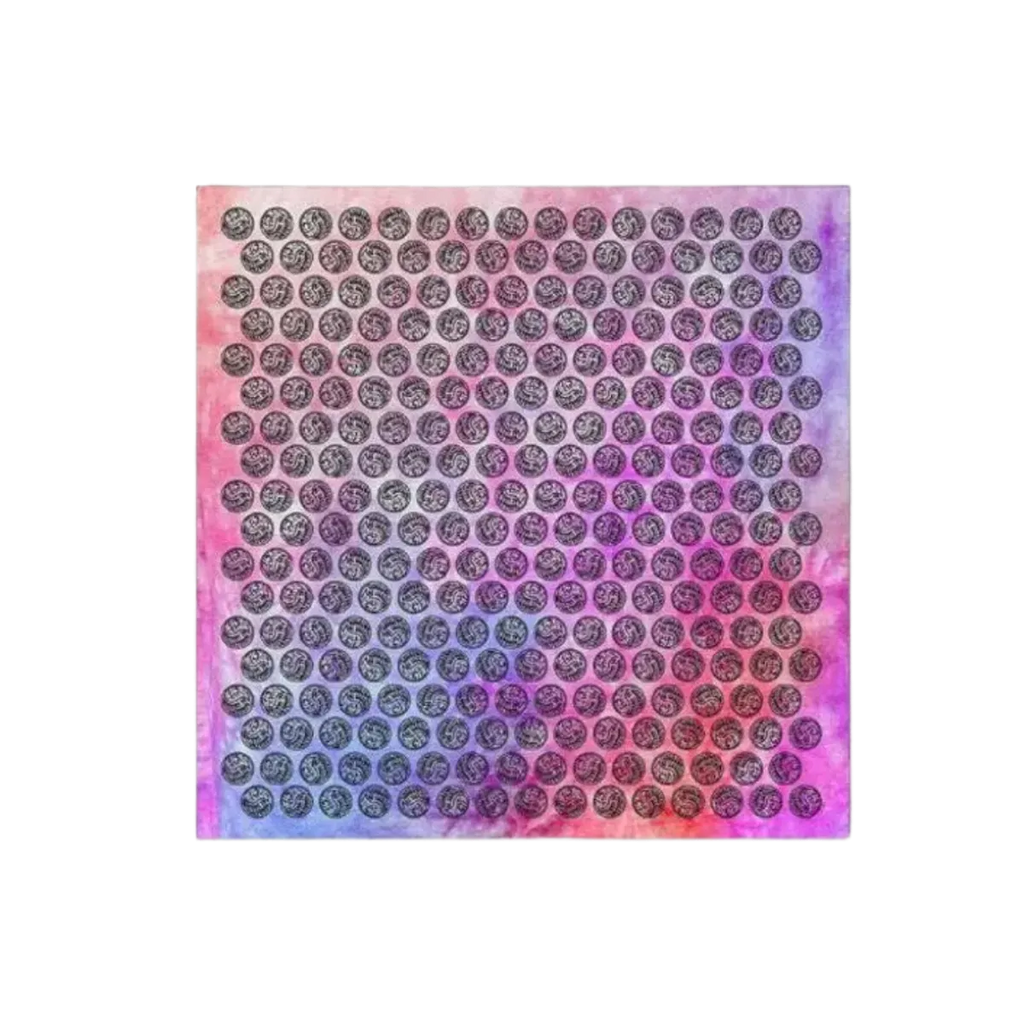 Saucerful of Secrets Tour Bandana